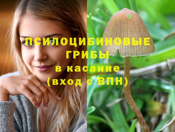 СК Дмитровск