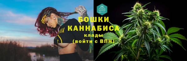 гашик Гусев
