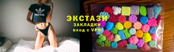 гашик Гусев