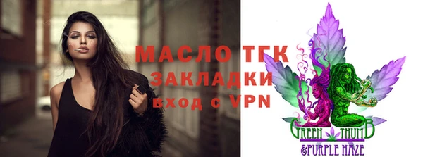 гашик Гусев