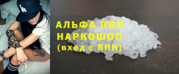 СК Дмитровск
