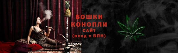СК Дмитровск