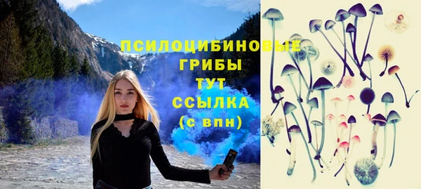 гашик Гусев