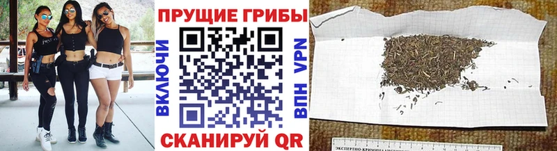 Псилоцибиновые грибы ЛСД  Купить где  Спас-Деменск 